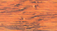 Natural Cedar